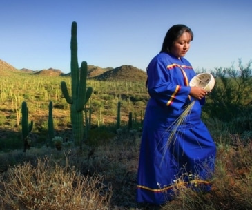 Image : Tohono O'odham Nation Cultural Center and Museum