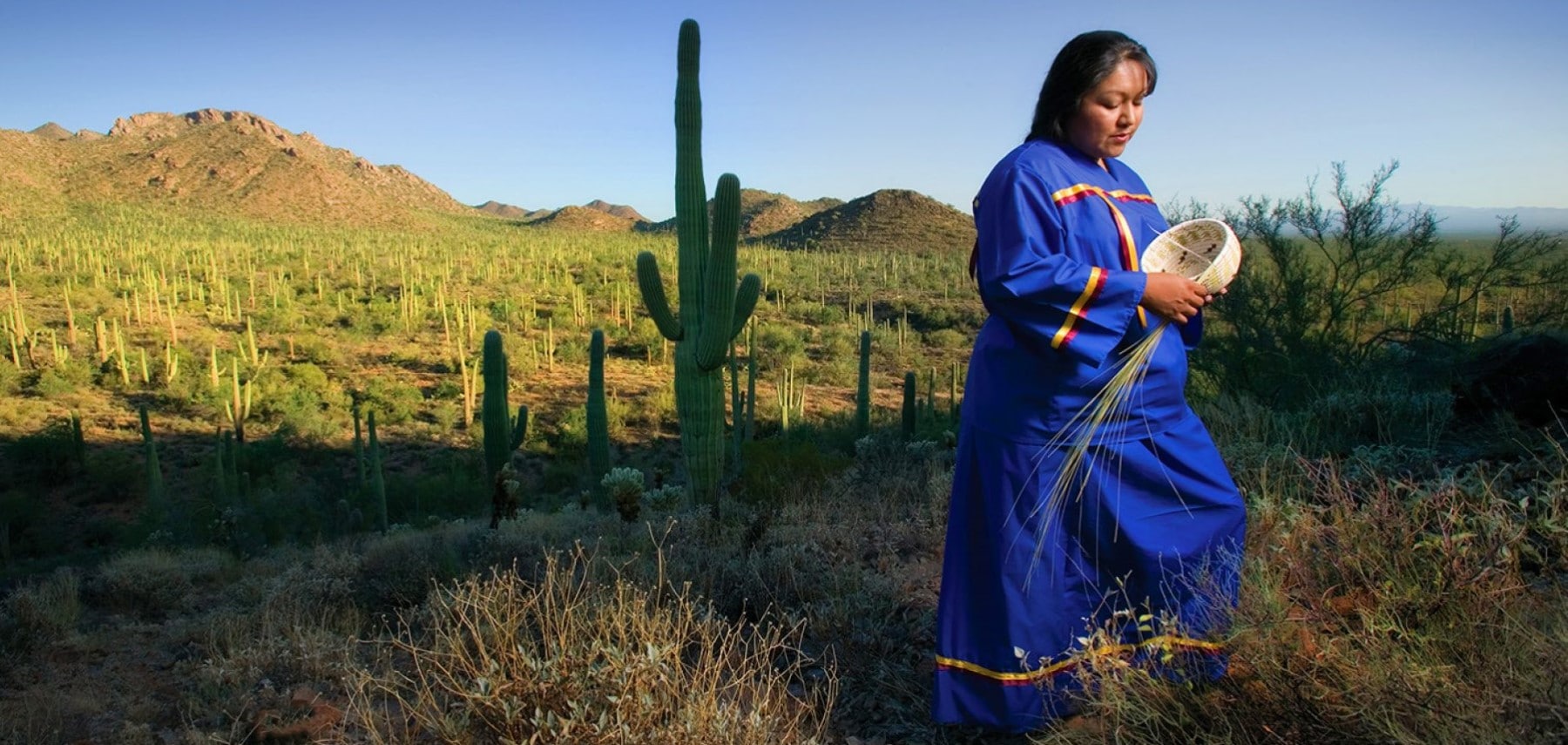 Arizona-Tohono-oodham-Museum