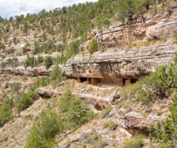 Image : Walnut Canyon National Monument
