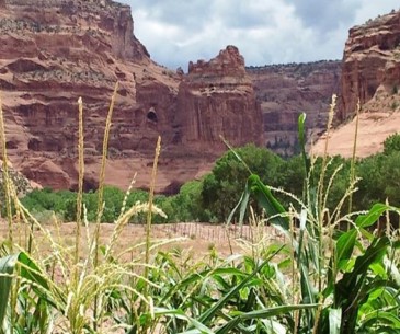 Arizona-canyon-de-chelly