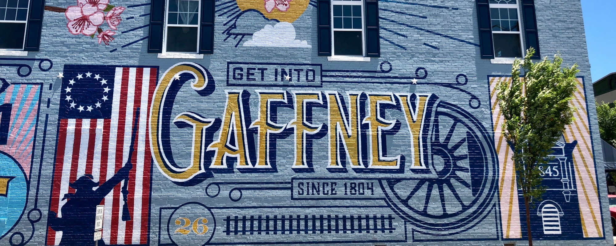 DSC Gaffney overview wall-2000x800