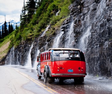 Image : Les balades en bus rouge à Glacier National Park