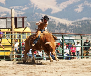 Image : Rodeo et culture western