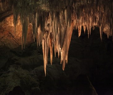 Image : Carlsbad Caverns National park