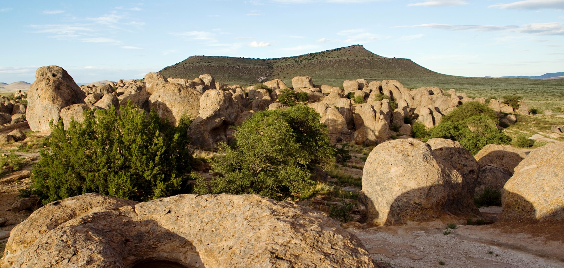 New-Mexico-City-of-Rocks