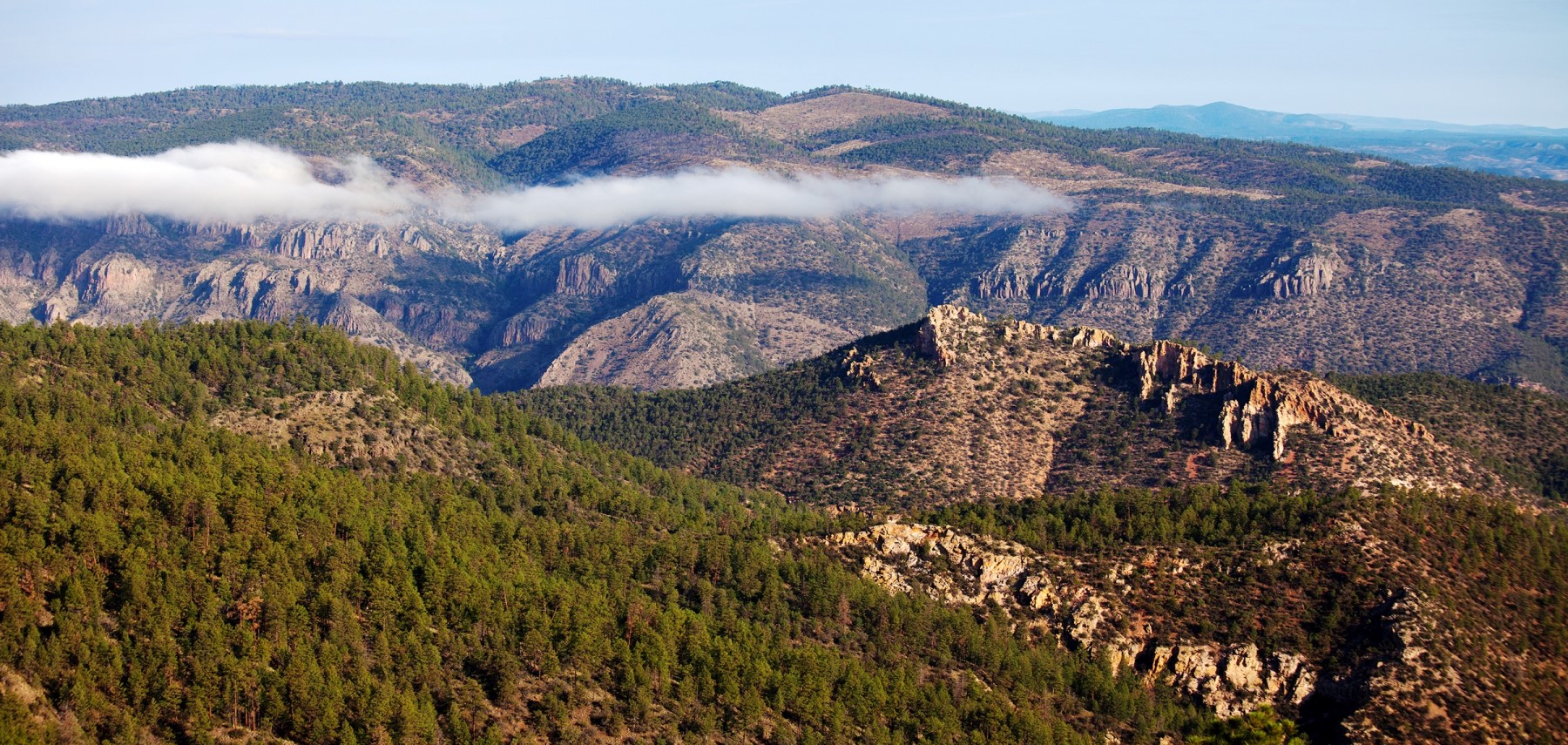 New-Mexico-Gila-National-Forest