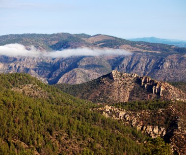 Image : Gila National Forest