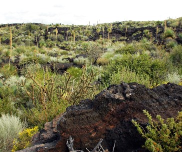 Image : Valley of Fires