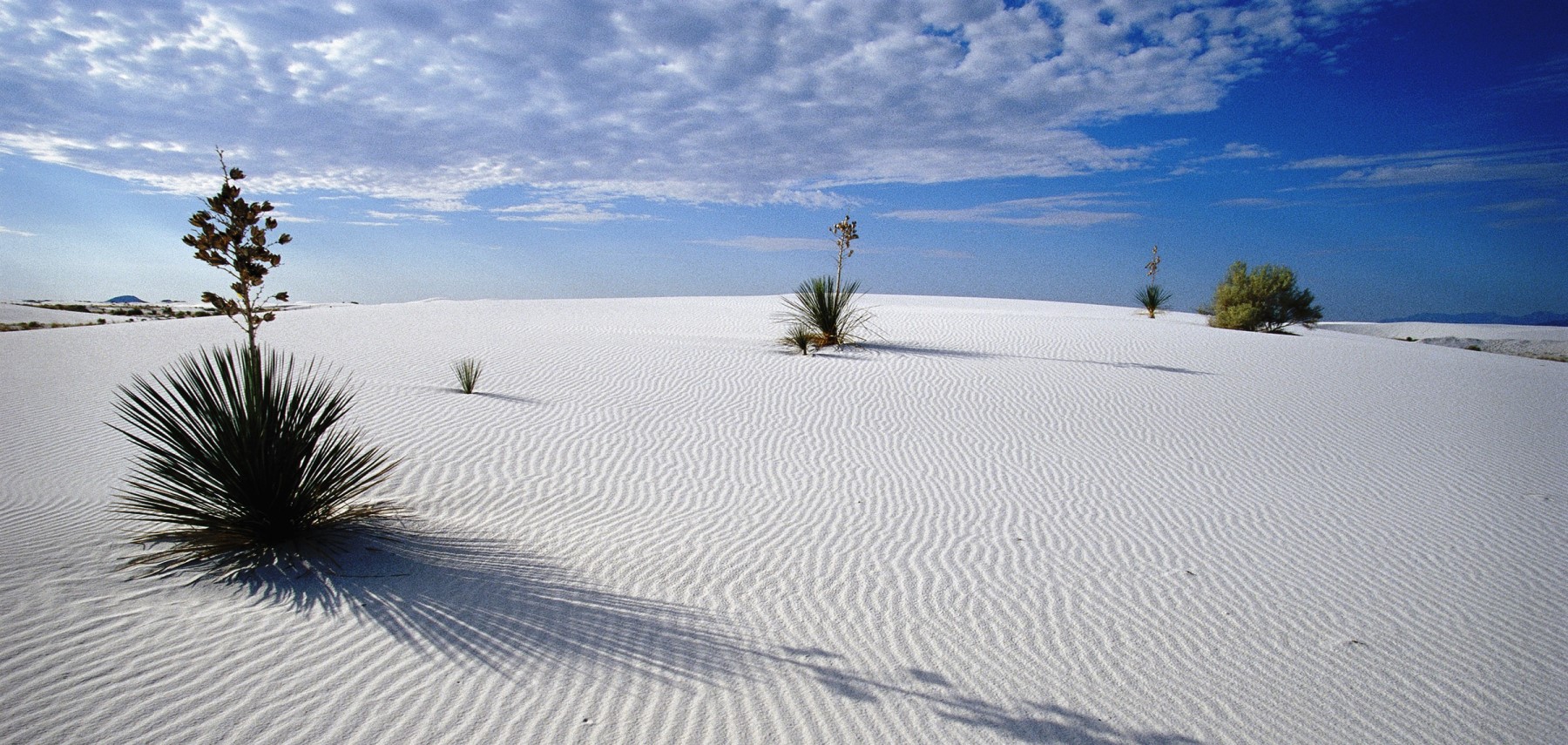 New-Mexico-White-Sands