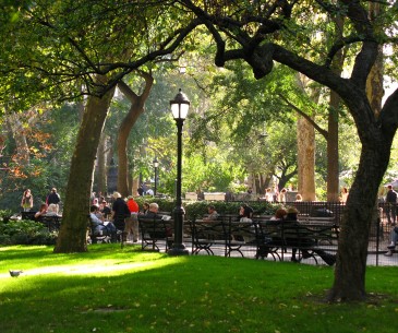 Image : Madison Square Park