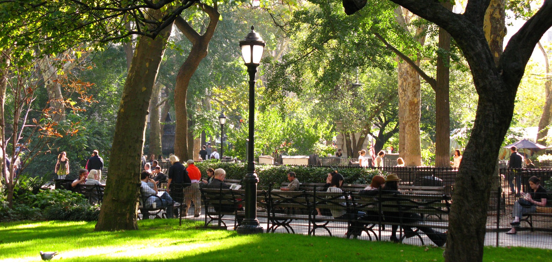 New-York-Madison-Square-Park