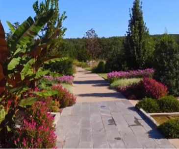 Image : Tulsa Botanic Garden