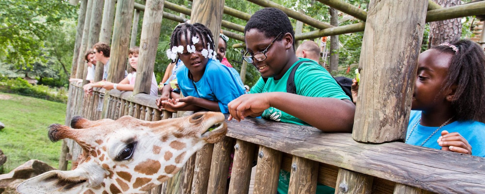 Riverbank zoo-2000x800