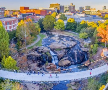 Image : Greenville