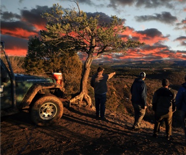 Image : Tour guidé de Zion en jeep