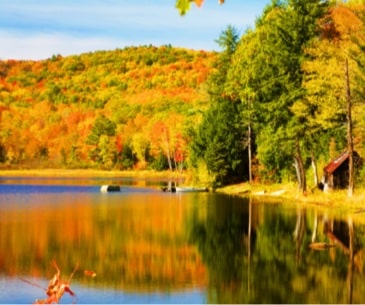 Image : Fall Foliage