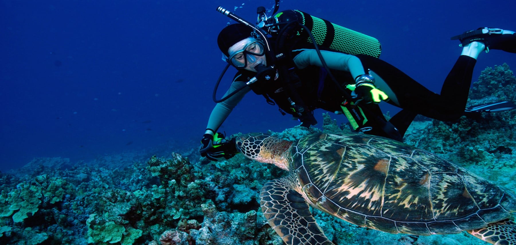 GUAM-La-faune-marine-et-les-fonds-coralliens