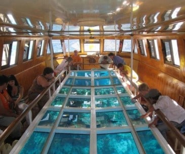Les balades en bateau à fond de verre