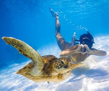 Image : Plongée et snorkeling dans les Samoa