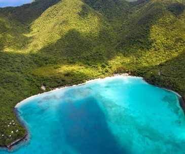 Image : Virgin Islands National Park