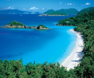 Image : Trunk Bay