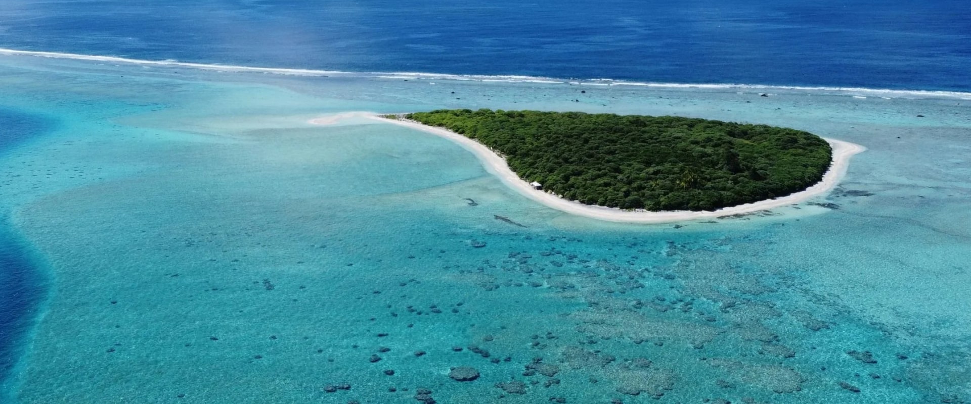Rose Atoll 2000 800