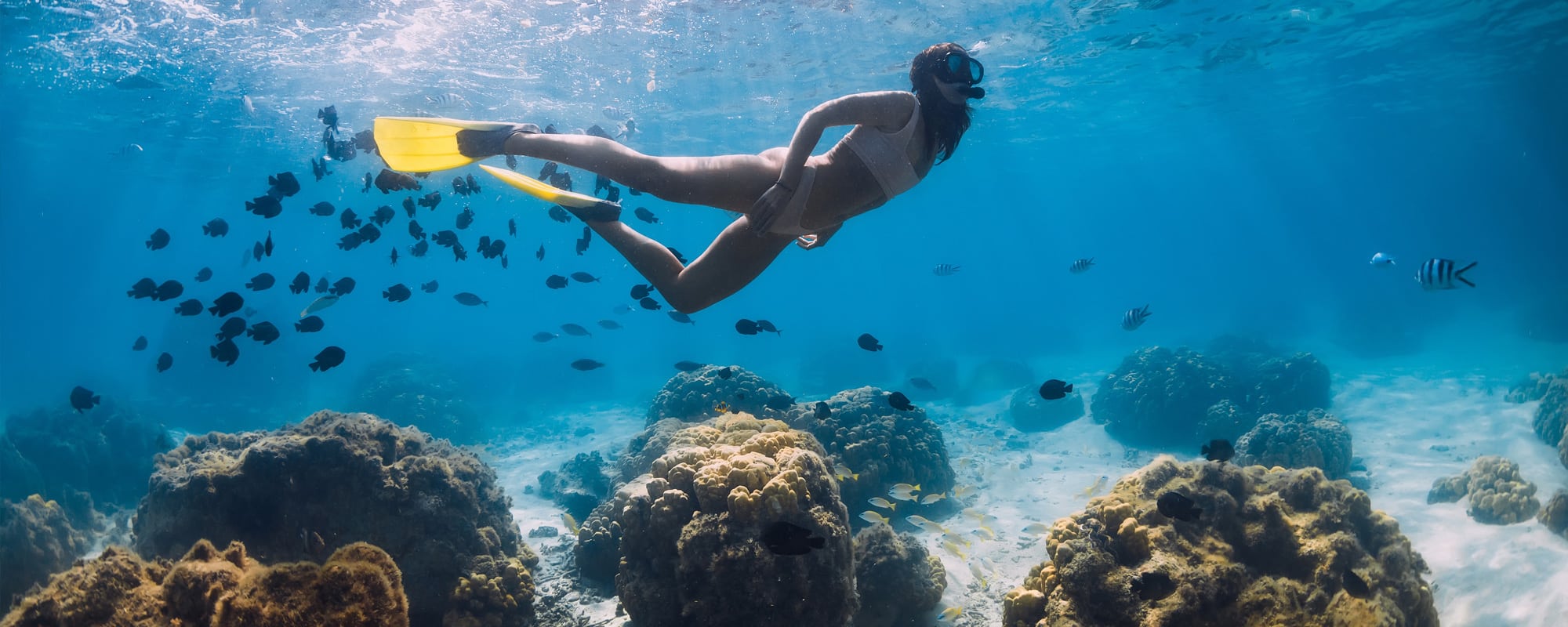 samoa-activite-snorkeling_2000px