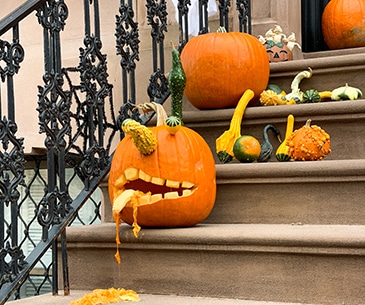 Image : Visite guidée spéciale Halloween à NYC