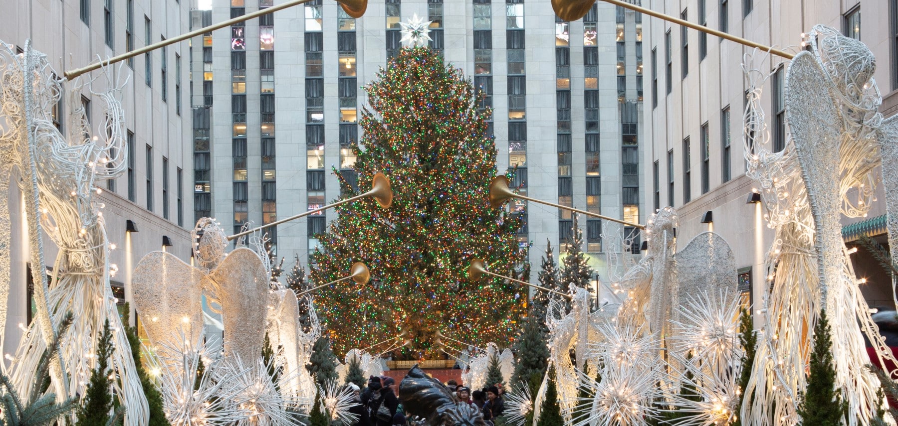Rockefeller Center Christmas Tree 1800