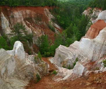 Image : Providence State Park