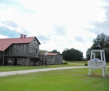 Image : Frogmore Plantation and Gins