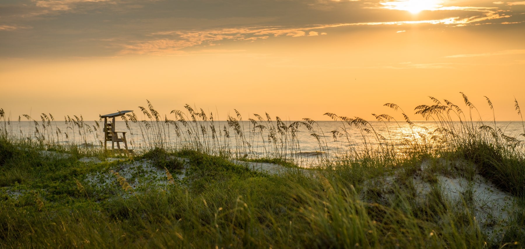 North-Carolina-Carolina-Beach-State-Park