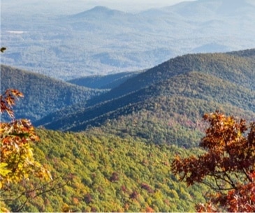 Image : Appalachian Trail