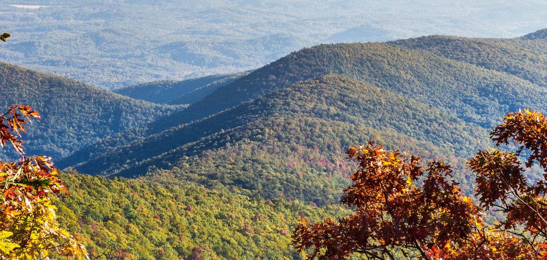 Georgie-Appalachian-Trail