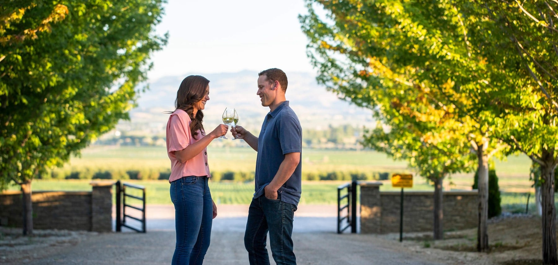 Idaho-Vignobles