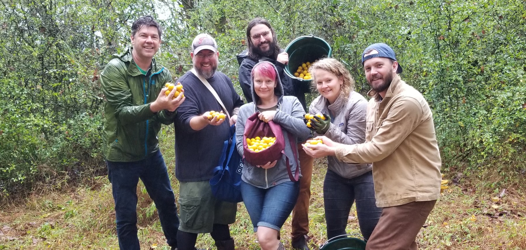 Sean Lilly Wilson at left with team foraging hardy oranges 1800 855