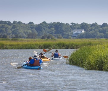 Image : Kayak à Hilton Head Island