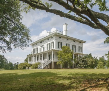 Image : Redcliffe Plantation