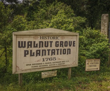 Image : Walnut Grove Plantation