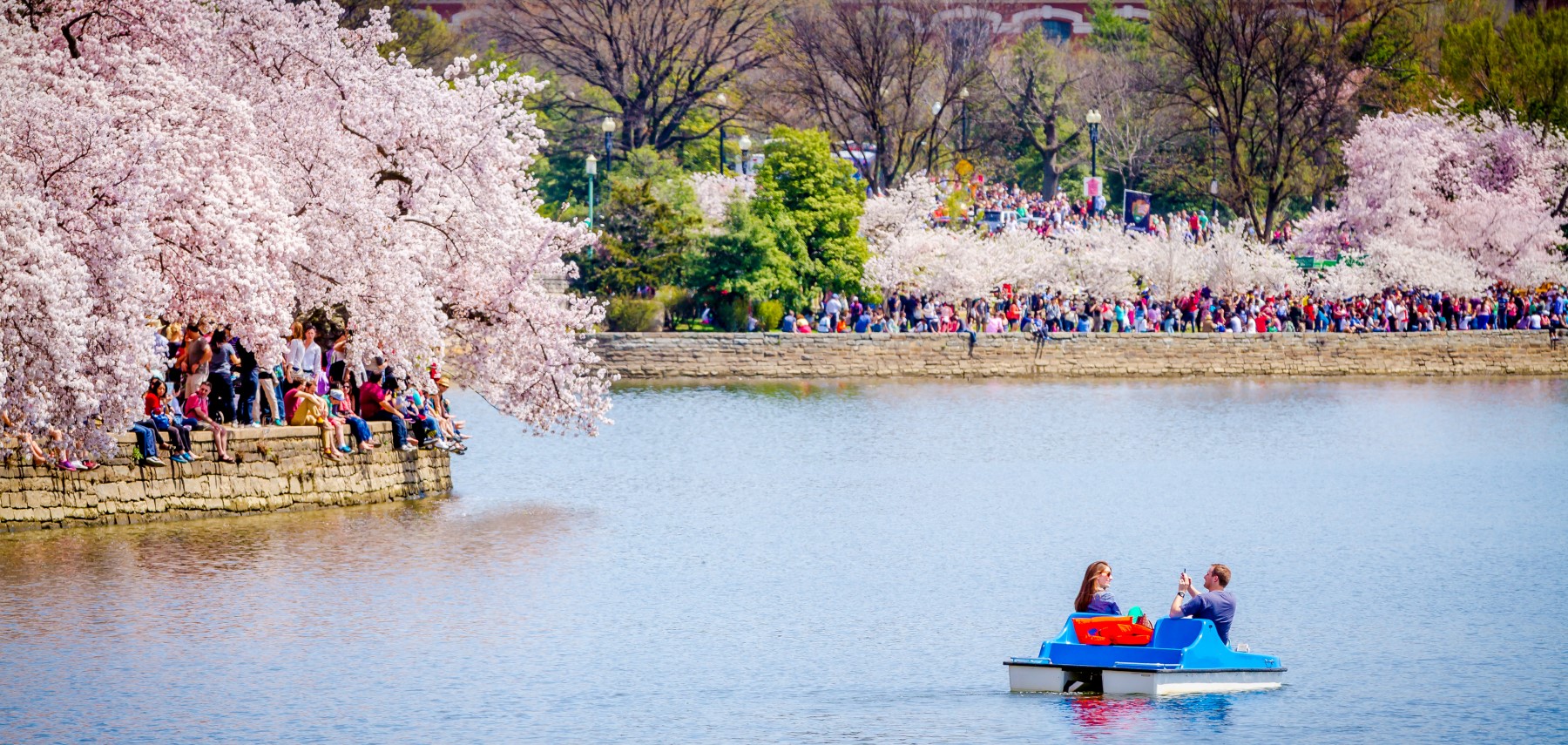 DC-Washington-Cherry Blossoms Tidal Basin_Courtesy Washington.org