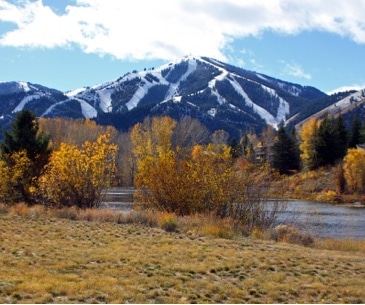 Image : Bald Mountain