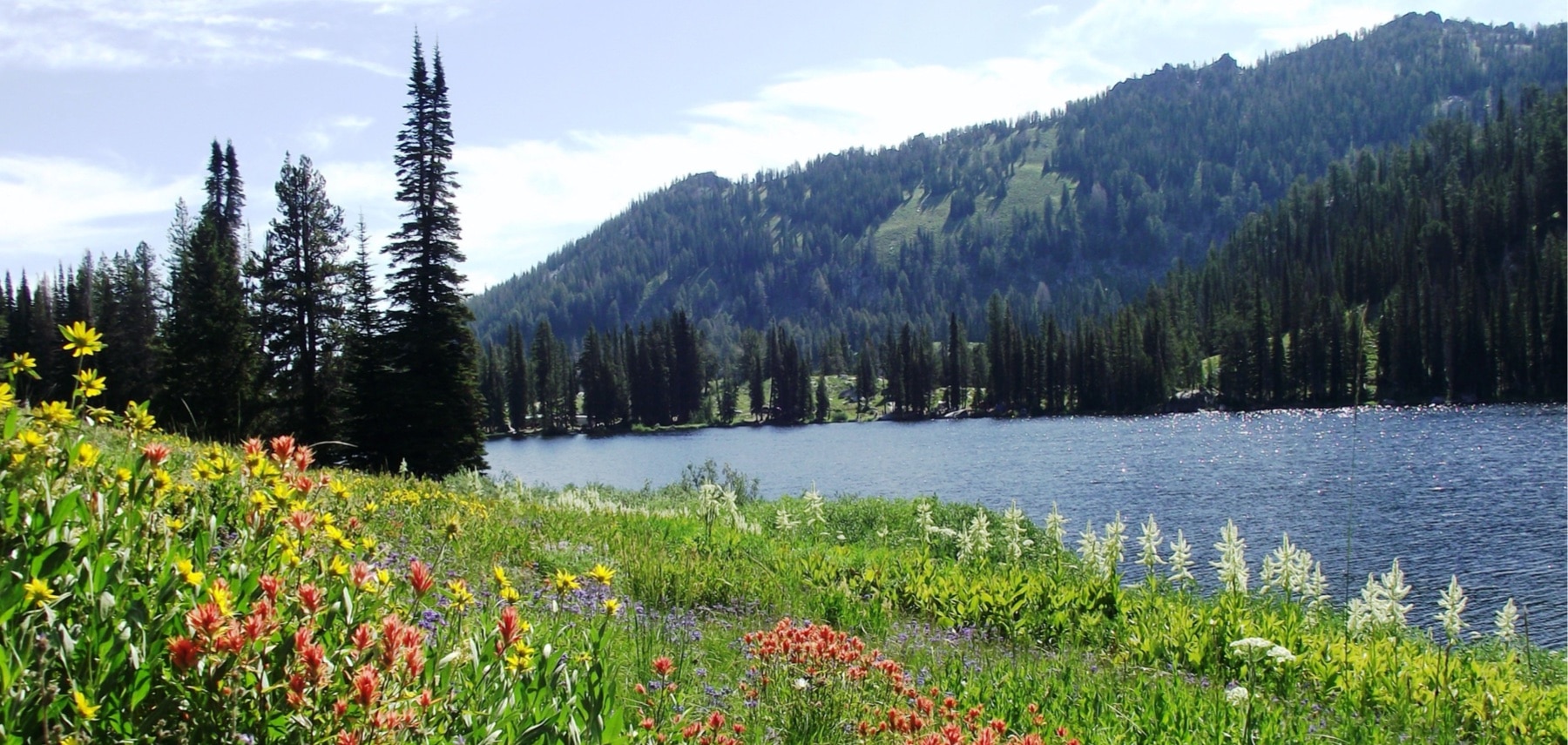 Idaho-Boise-National-Forest