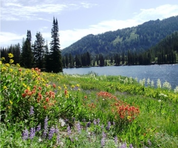 Image : Boise National Forest