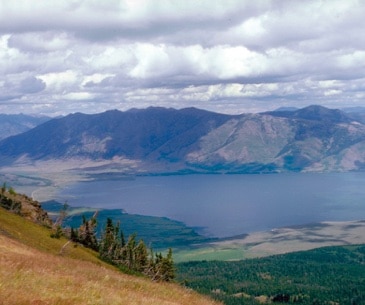 Image : Henry’s Lake