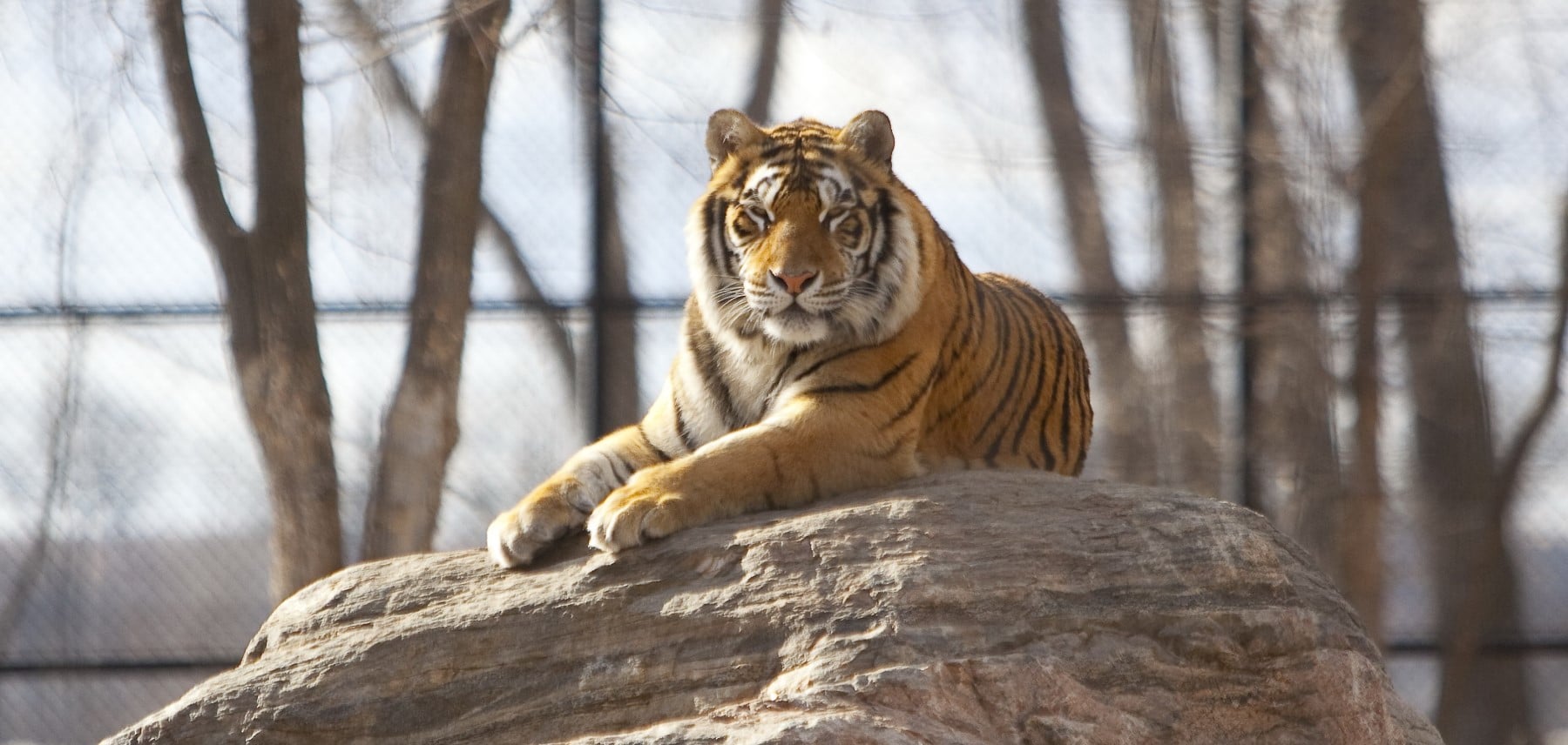 NorthDakotaCVB-Dakota-Zoo-2