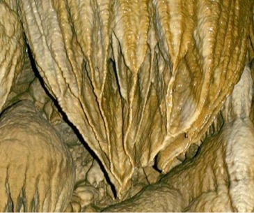 Image : Oregon Caves National Monument
