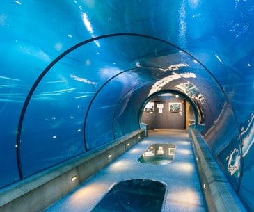 Image : Oregon Coast Aquarium