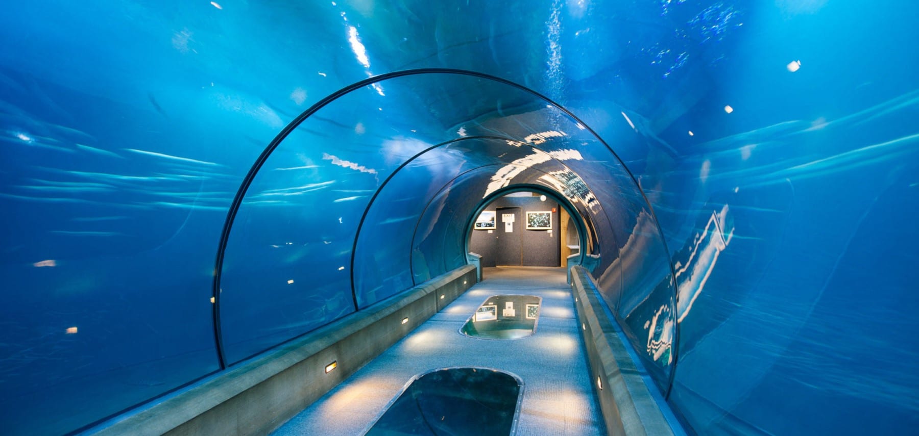 Oregon-Coast-Aquarium-2