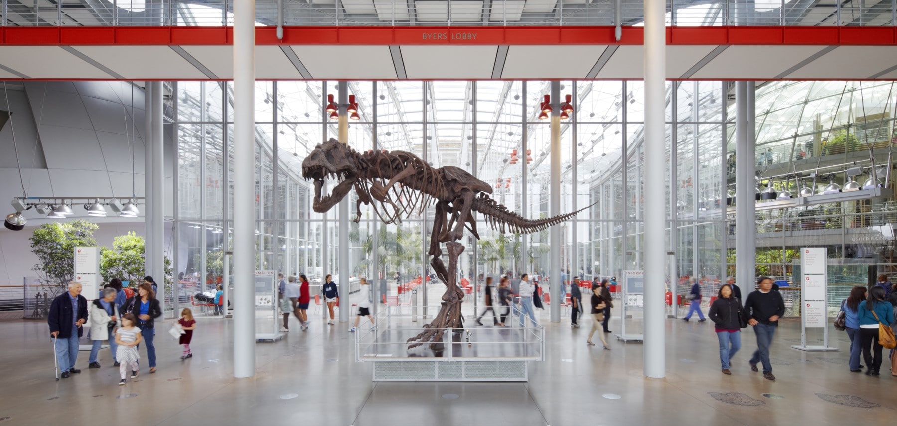 Californie-California Academy of Sciences - 04