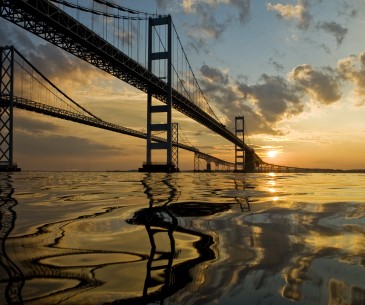 Chesapeake Bay